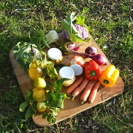Villa Orta - Agriturismo Con Cucina Vegan, Plant-Based Farmhouse Ріоторто Екстер'єр фото