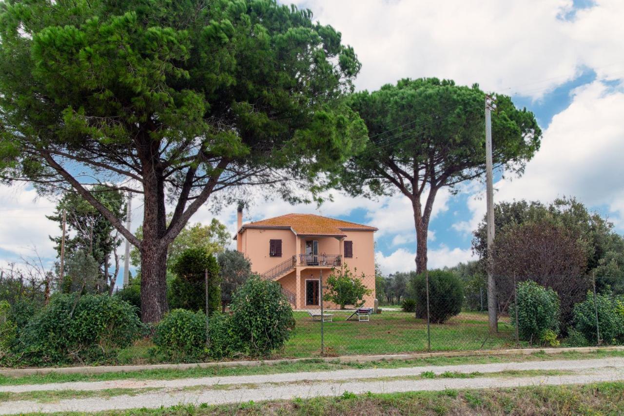 Villa Orta - Agriturismo Con Cucina Vegan, Plant-Based Farmhouse Ріоторто Екстер'єр фото